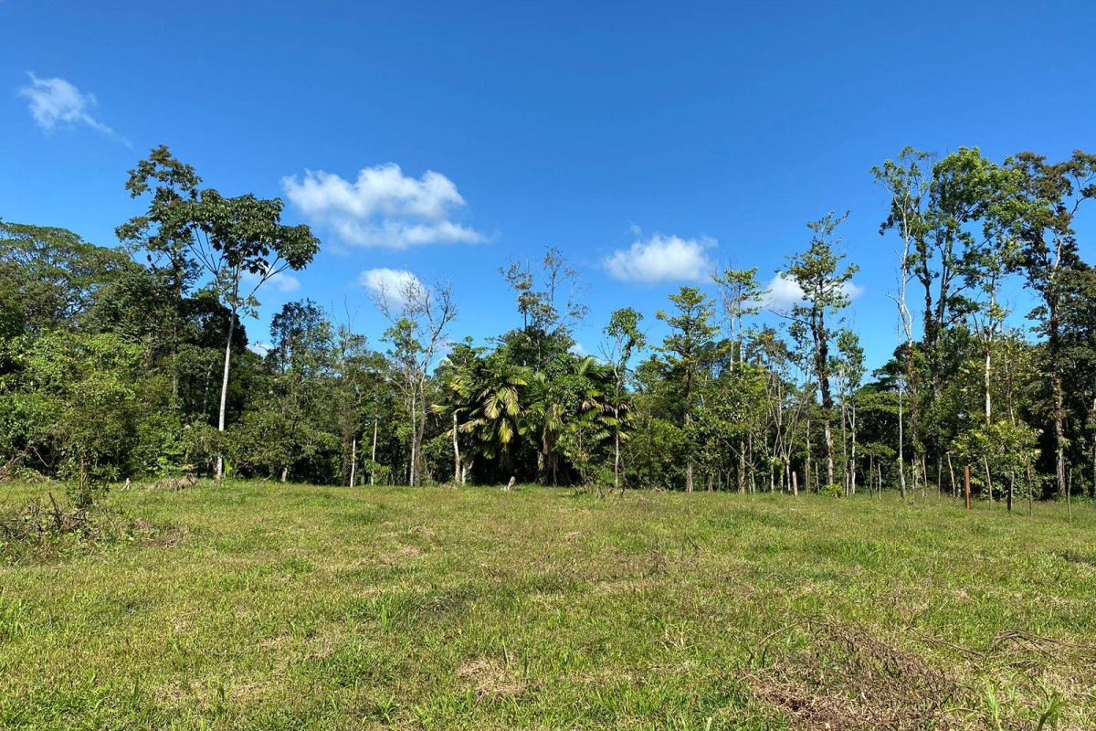 WhatsApp Image 2023-02-01 at 17.21.49