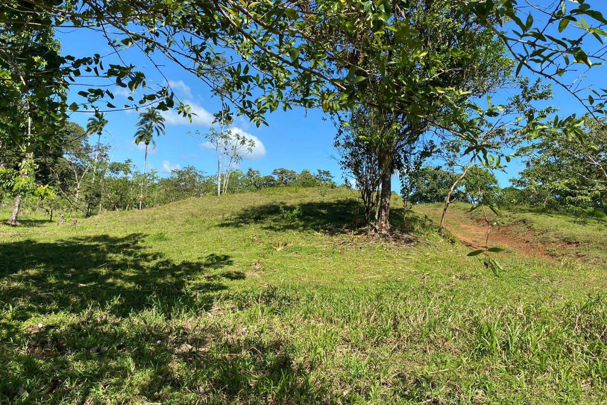 WhatsApp Image 2023-02-01 at 17.21.57