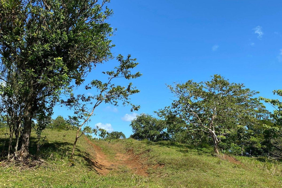 WhatsApp Image 2023-02-01 at 17.21.57(1)