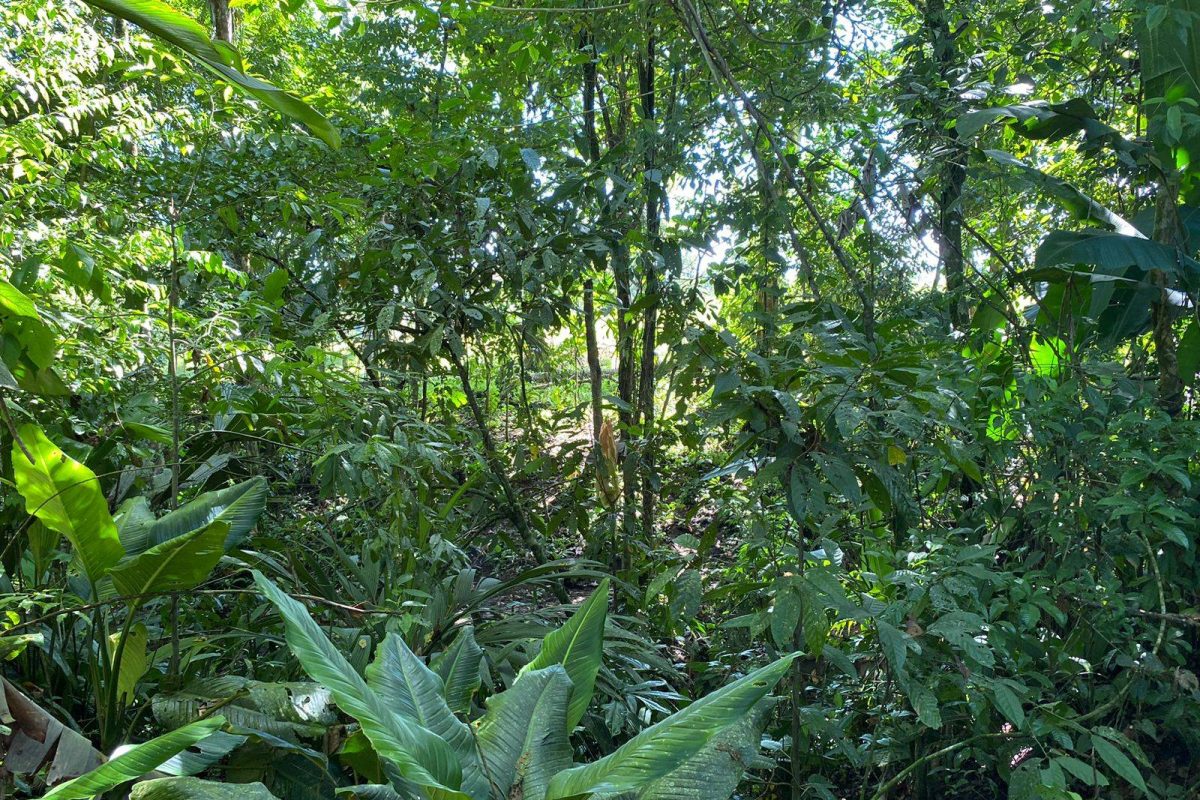 WhatsApp Image 2023-02-01 at 17.21.57(2)