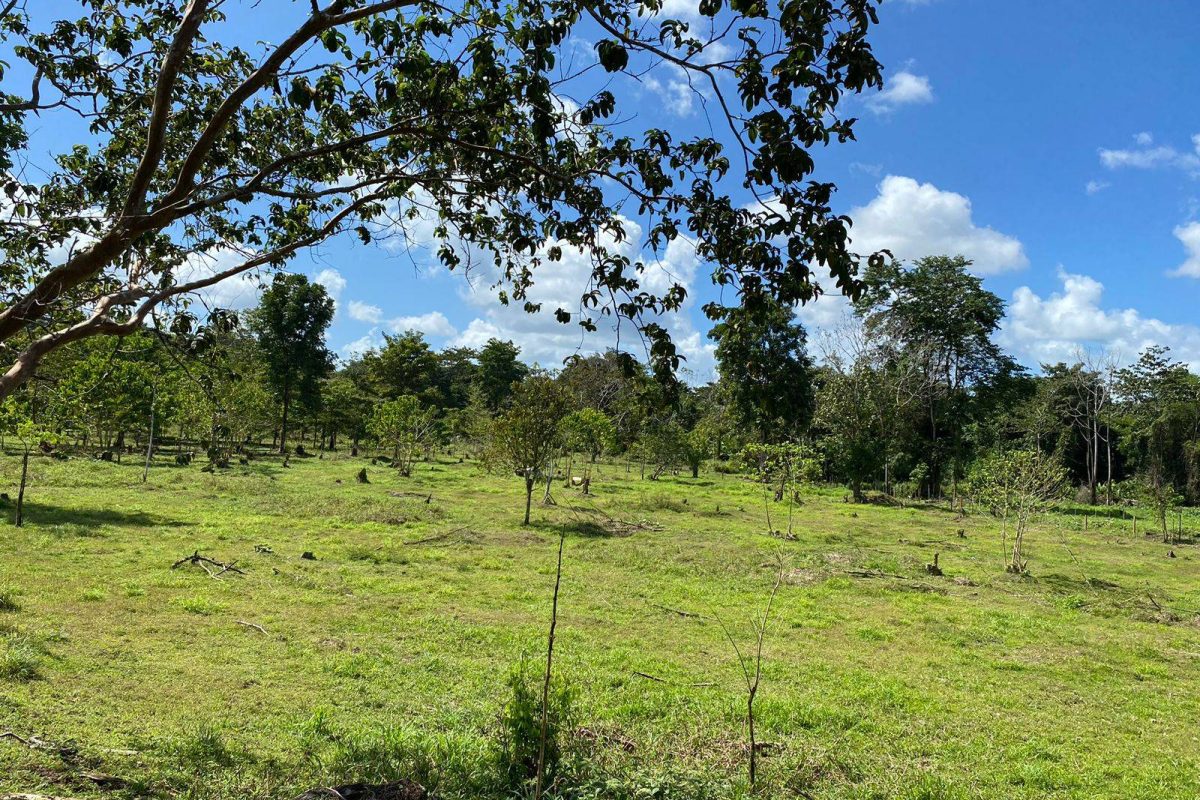 WhatsApp Image 2023-02-01 at 17.21.57(4)