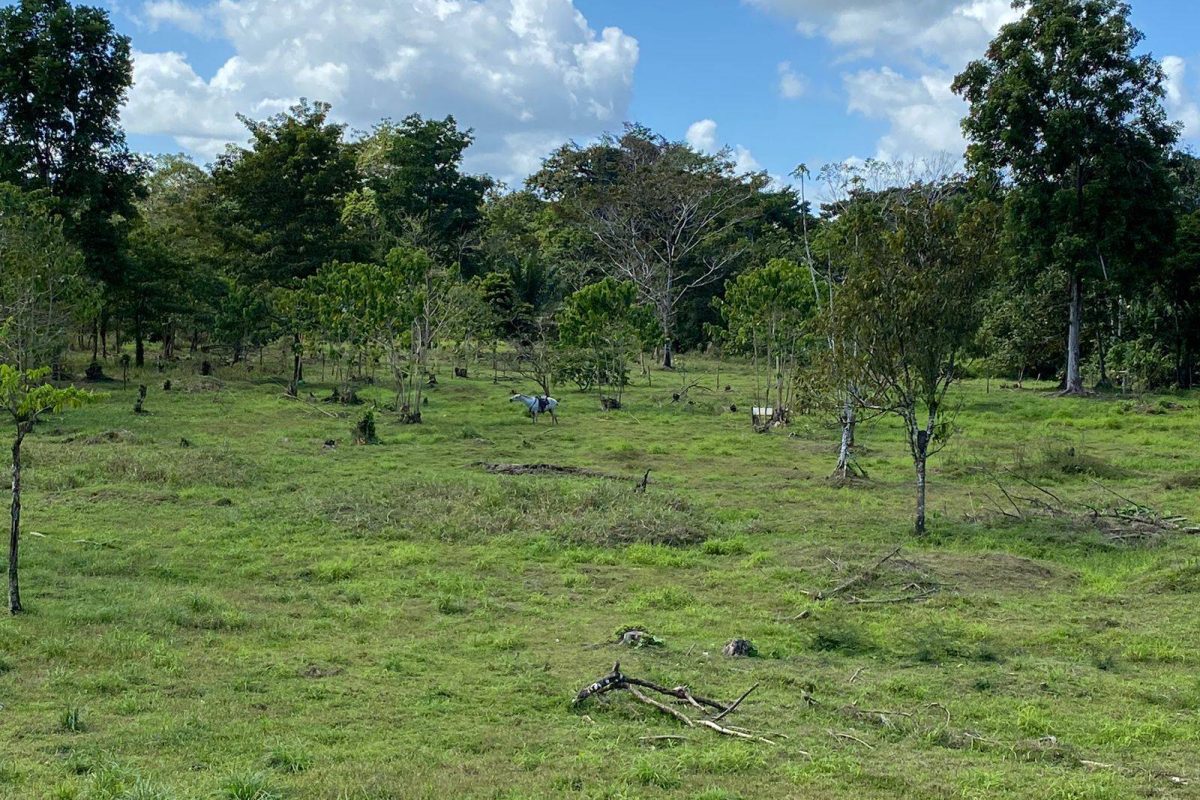 WhatsApp Image 2023-02-01 at 17.21.58(1)