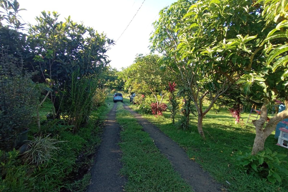 WhatsApp Image 2023-07-13 at 14.21.42 (3)