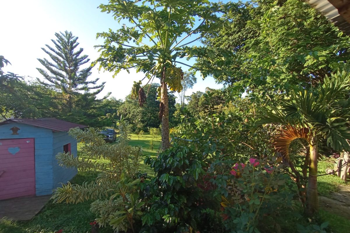 WhatsApp Image 2023-07-13 at 14.21.43 (1)