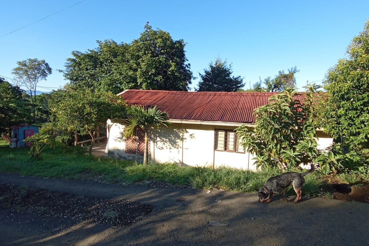 WhatsApp Image 2023-07-13 at 14.21.43 (2)