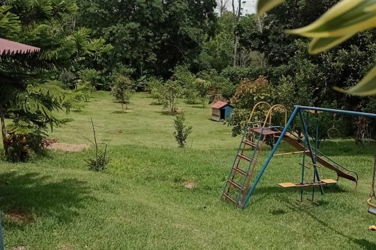 WhatsApp Image 2023-07-13 at 14.21.43 (3)