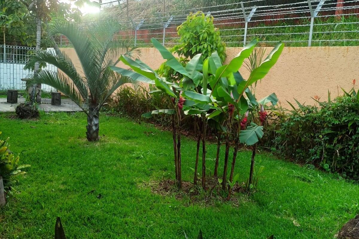 WhatsApp Image 2023-07-20 at 09.39.44 (1)