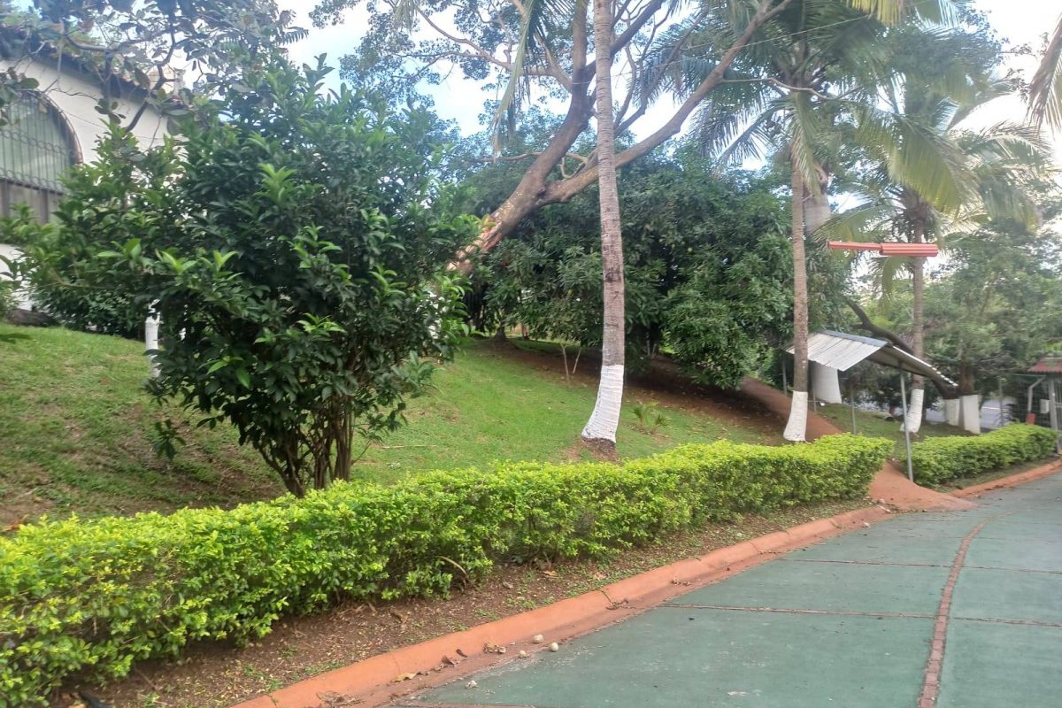 WhatsApp Image 2023-07-20 at 09.39.44 (4)