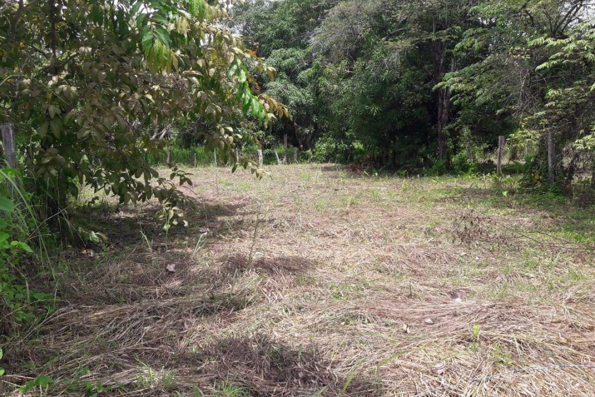 WhatsApp Image 2023-07-31 at 3.13.31 PM (1)