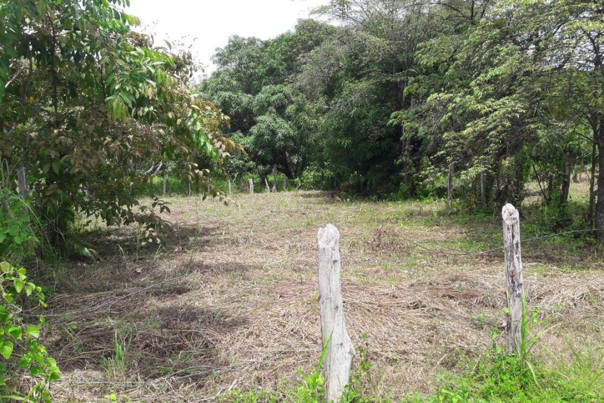 WhatsApp Image 2023-07-31 at 3.13.31 PM (2)