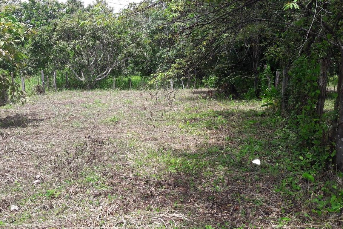 WhatsApp Image 2023-07-31 at 3.13.31 PM