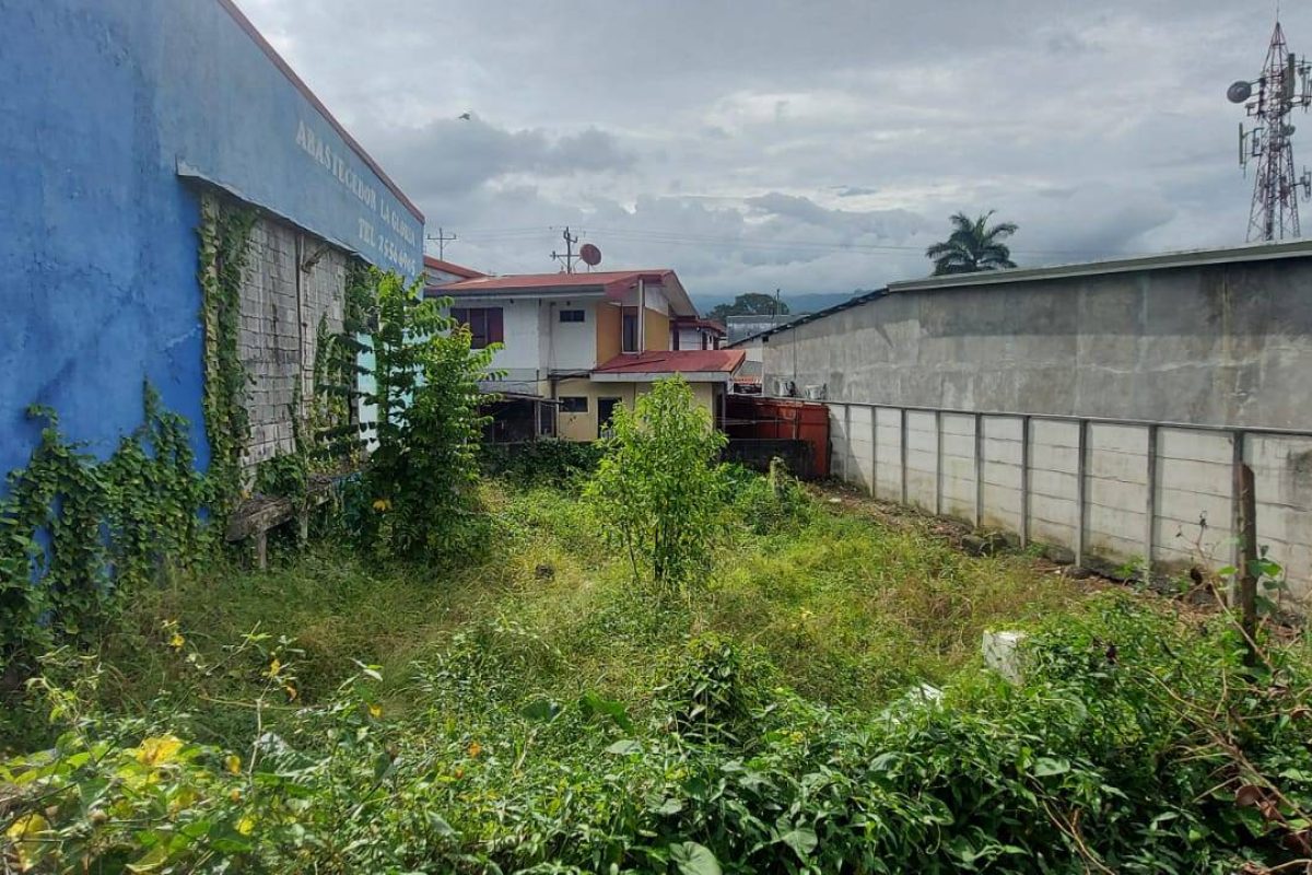 WhatsApp-Image-2023-08-31-at-08.26.13