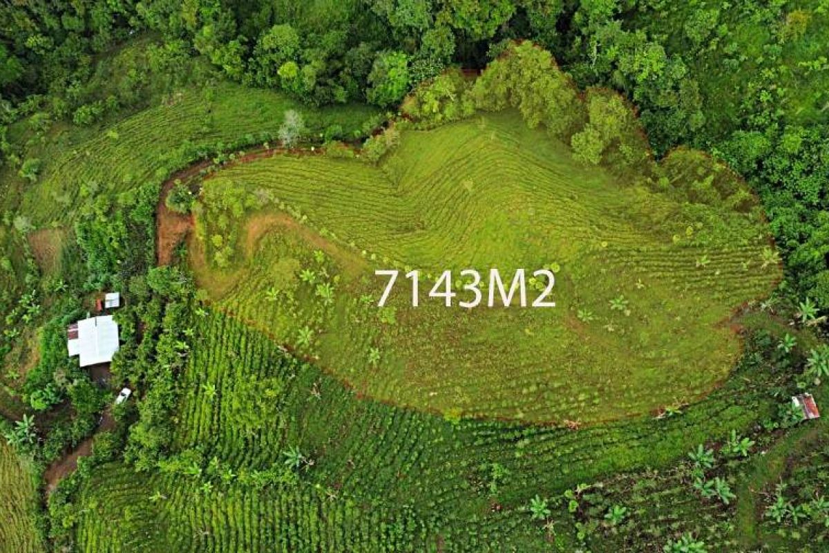 WhatsApp Image 2023-09-04 at 2.05.22 PM (2)