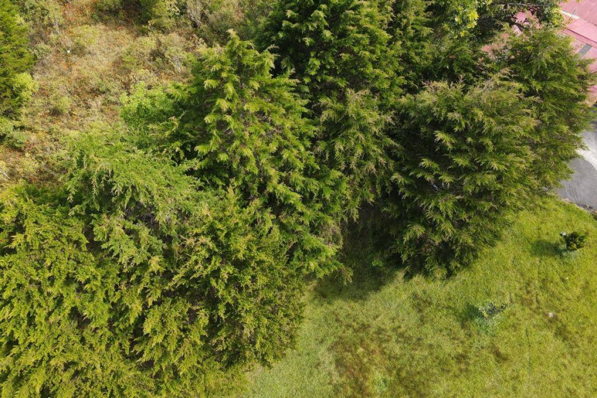 WhatsApp Image 2023-10-06 at 7.31.14 PM (6)