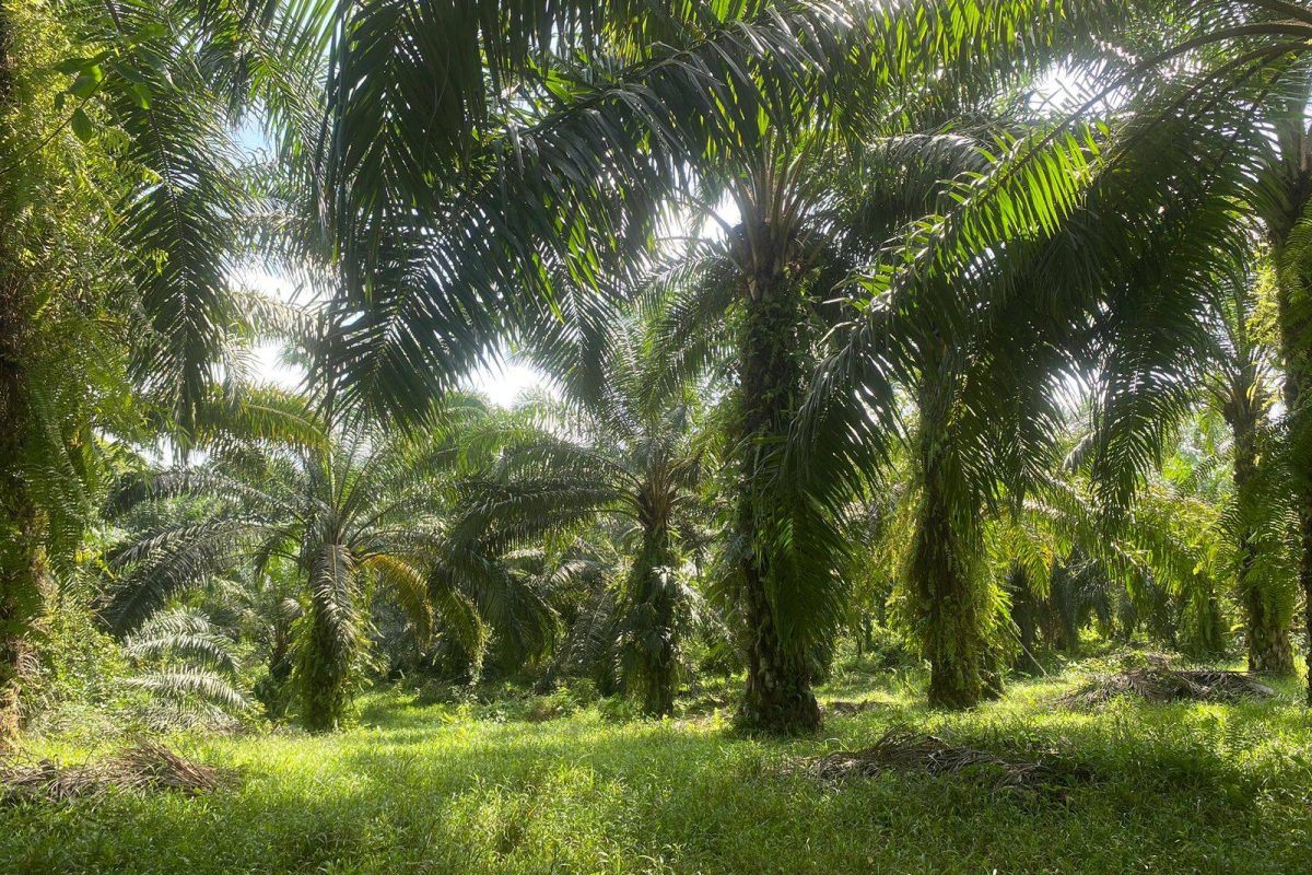 WhatsApp Image 2024-01-29 at 17.24.45(2)