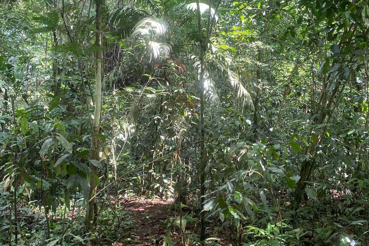 WhatsApp Image 2024-01-29 at 17.24.47(1)