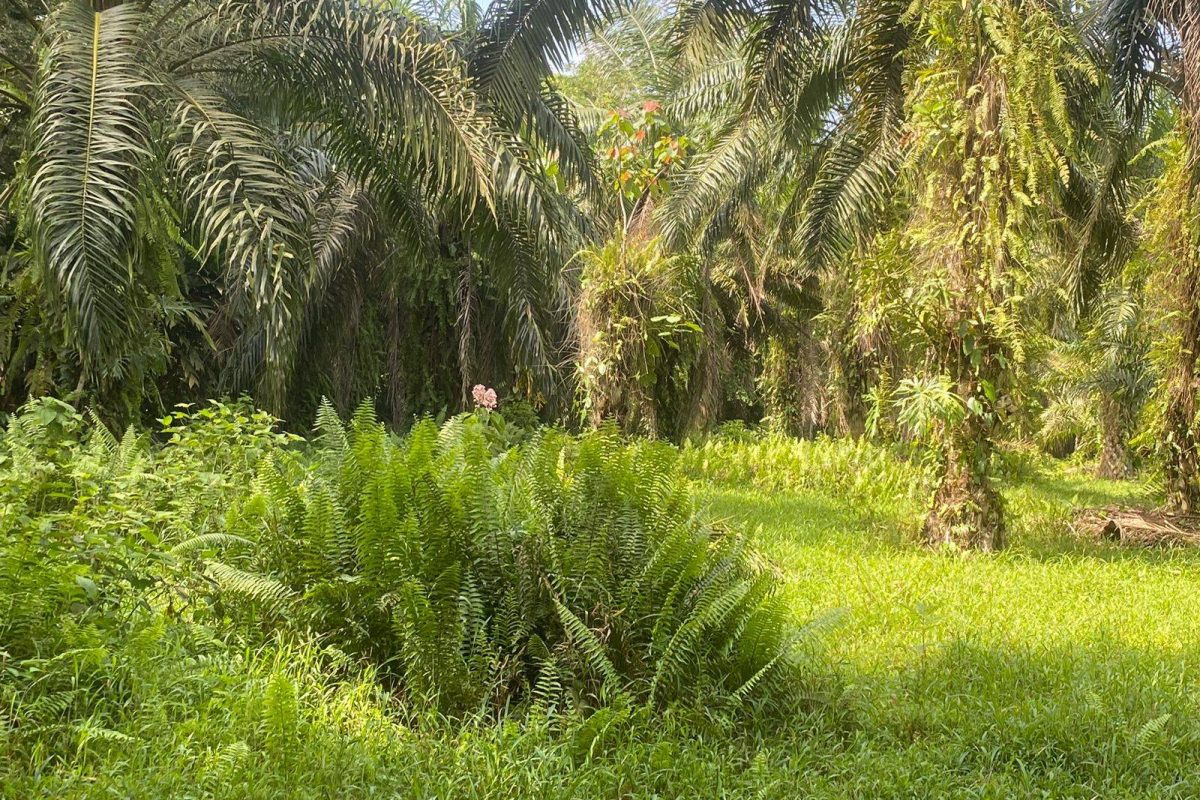 WhatsApp Image 2024-01-29 at 17.24.48