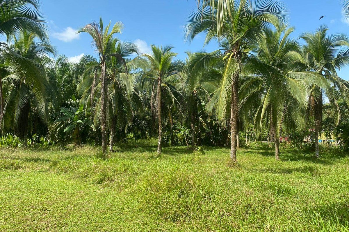 WhatsApp Image 2024-01-29 at 17.24.49