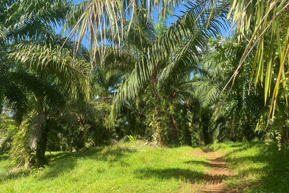 WhatsApp Image 2024-01-29 at 17.24.49(1)