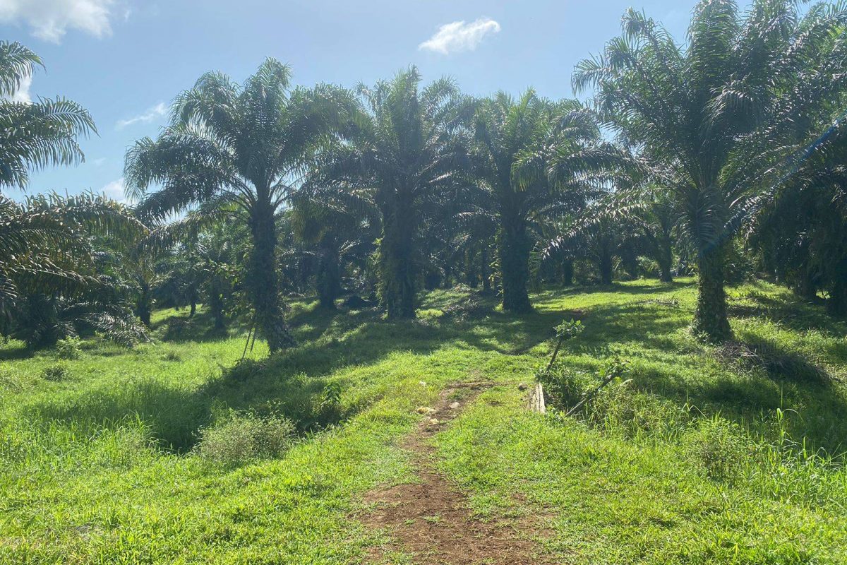 WhatsApp Image 2024-01-29 at 17.24.50