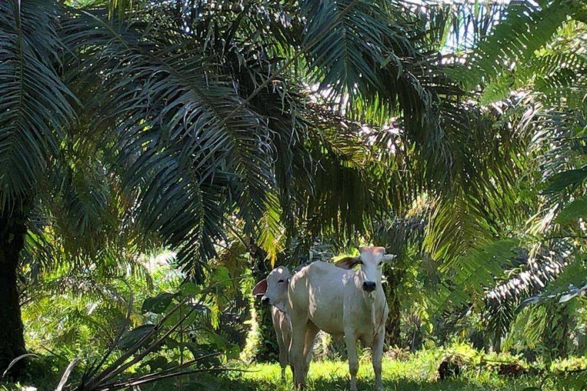 WhatsApp Image 2024-01-29 at 17.24.50(1)