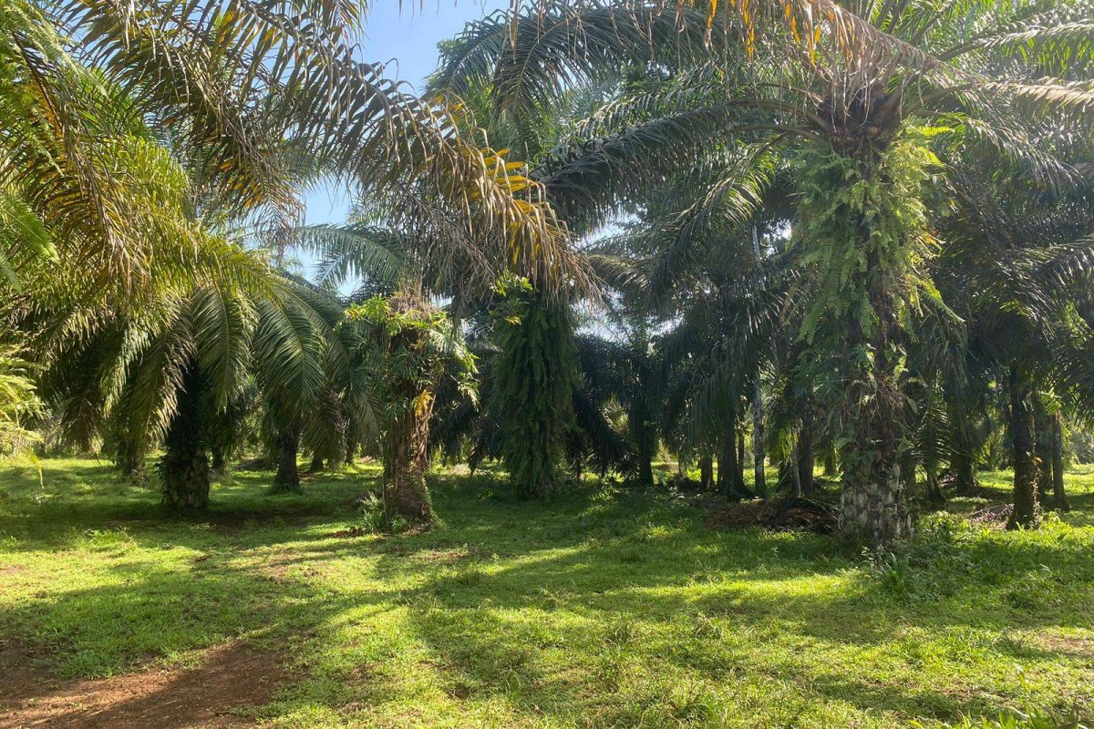 WhatsApp Image 2024-01-29 at 17.24.51