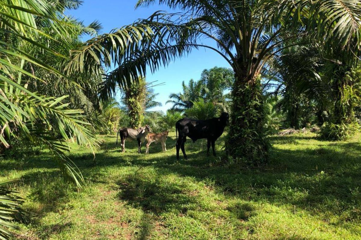 WhatsApp Image 2024-01-29 at 17.24.52(1)