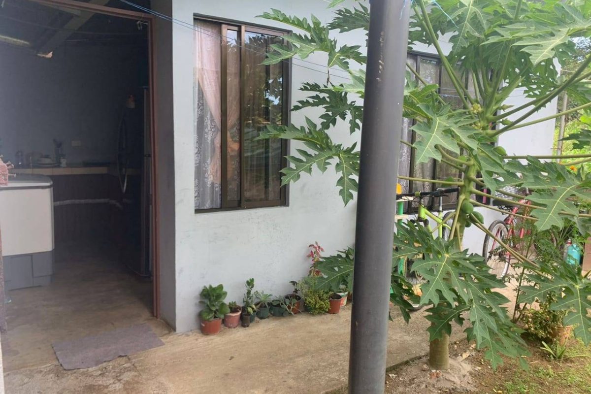 WhatsApp Image 2024-02-21 at 19.29.02