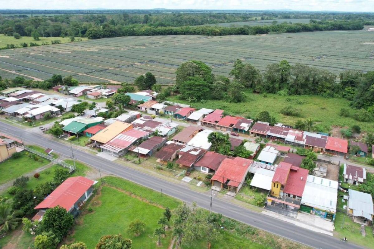 WhatsApp Image 2024-02-21 at 19.29.02(1)