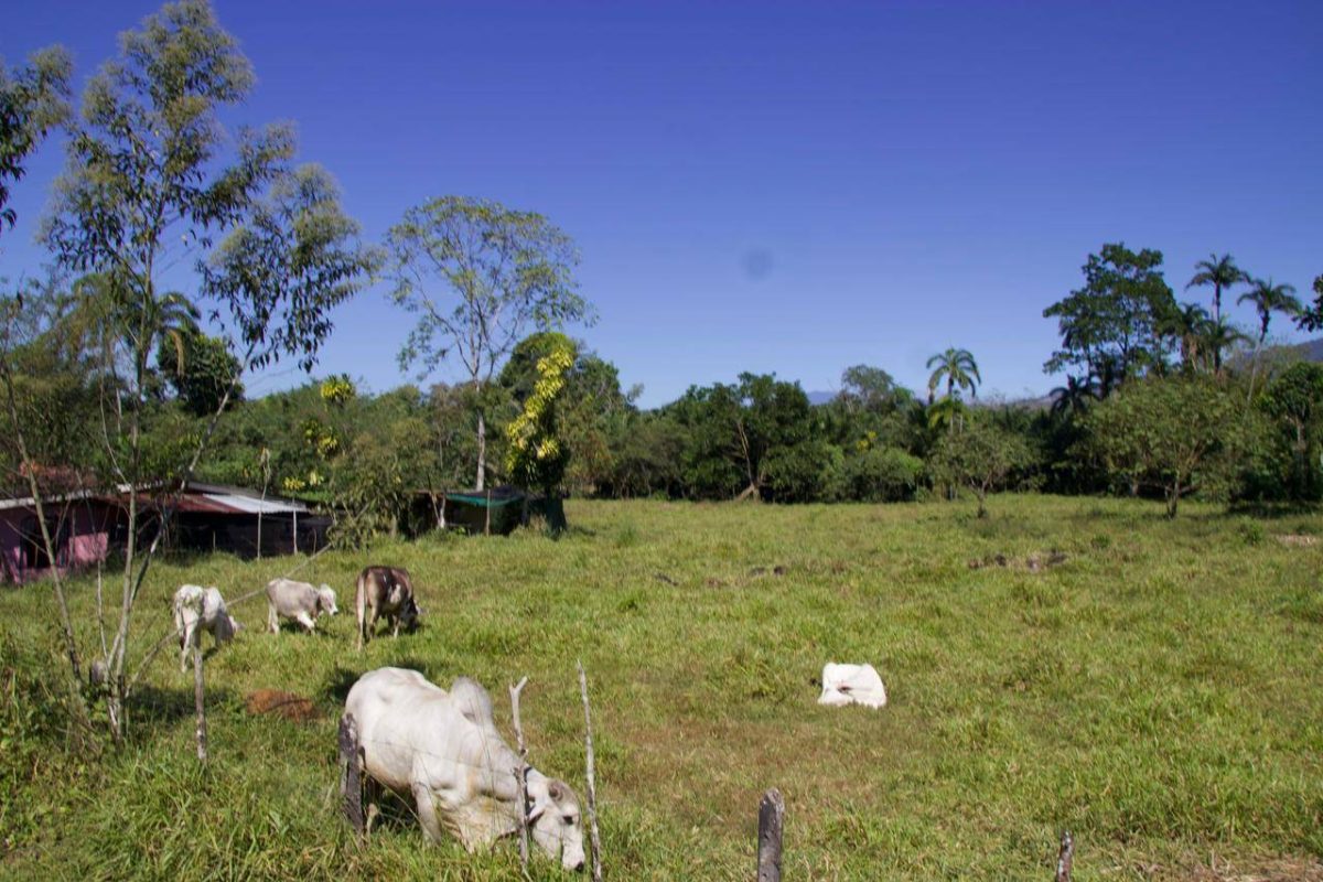 WhatsApp Image 2024-02-24 at 11.24.18 AM (1)