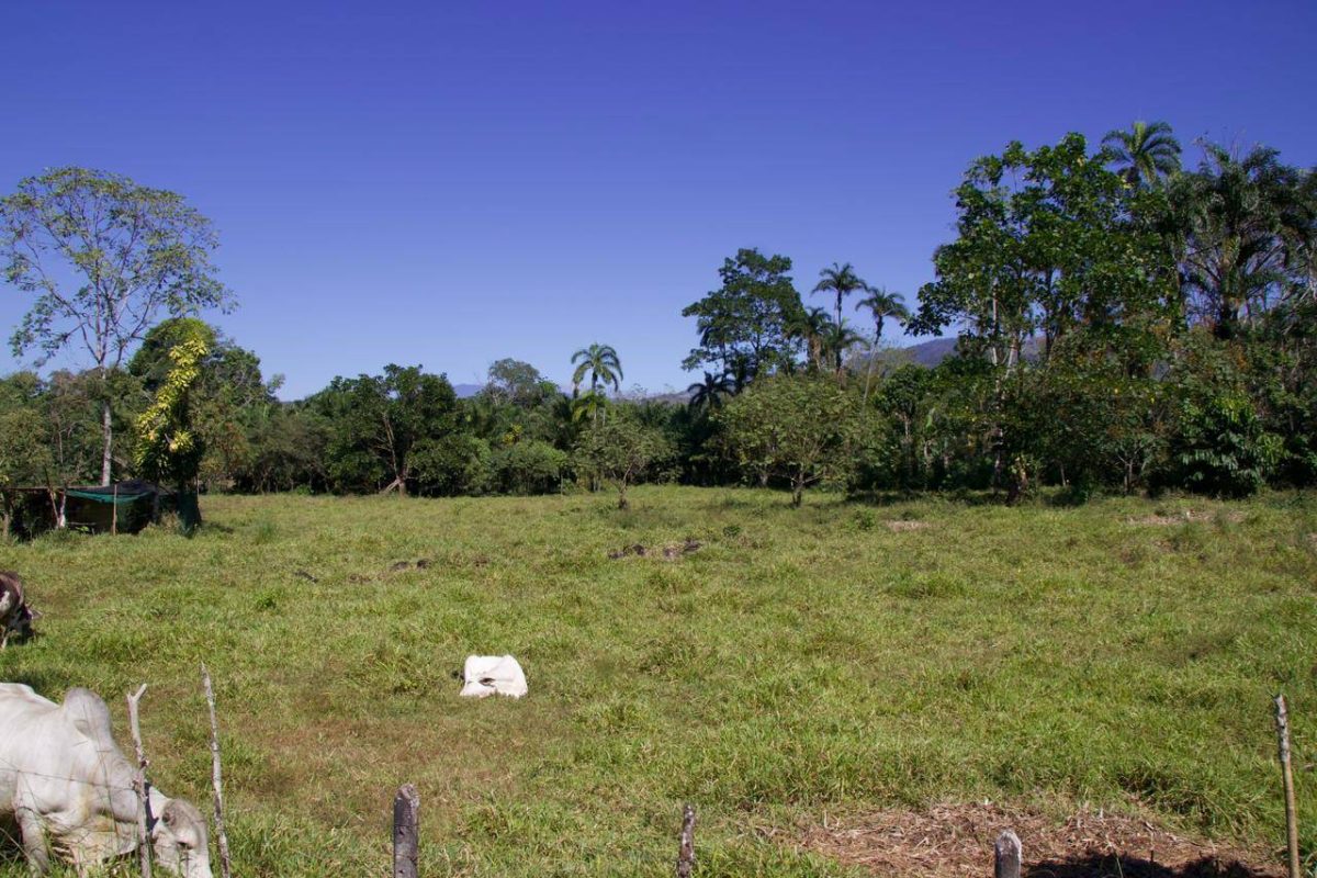 WhatsApp Image 2024-02-24 at 11.24.19 AM