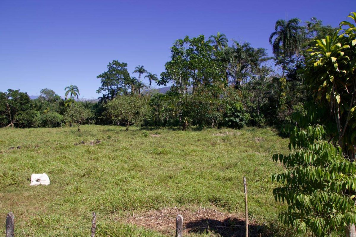 WhatsApp Image 2024-02-24 at 11.24.20 AM