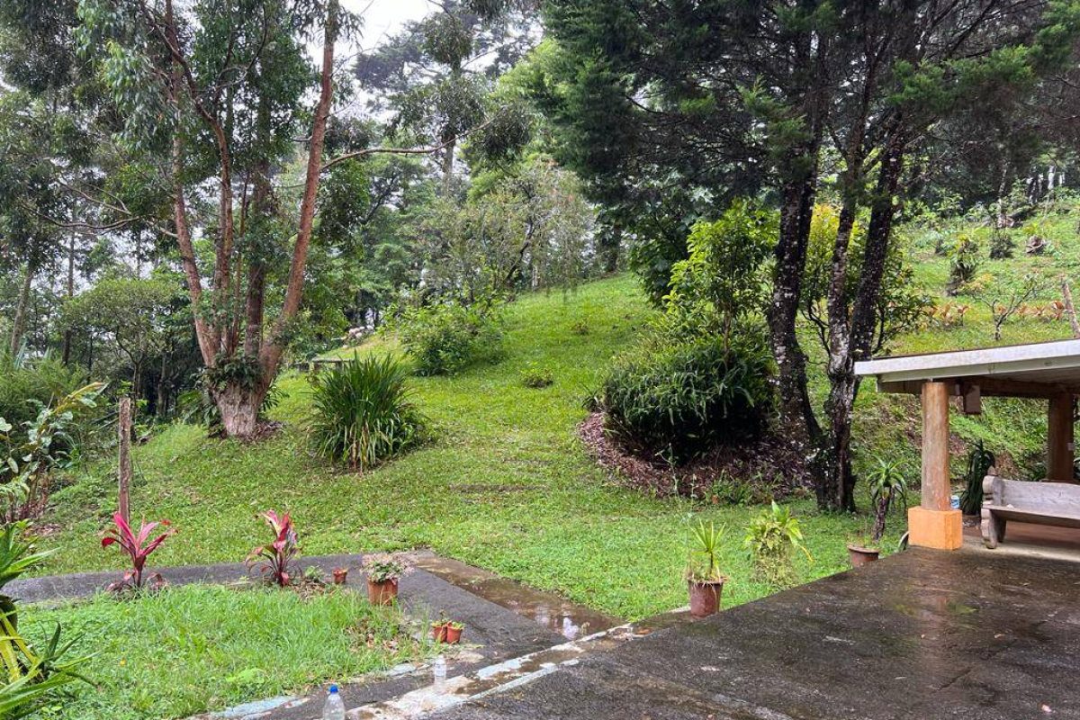 WhatsApp Image 2024-03-02 at 08.12.41 (1)