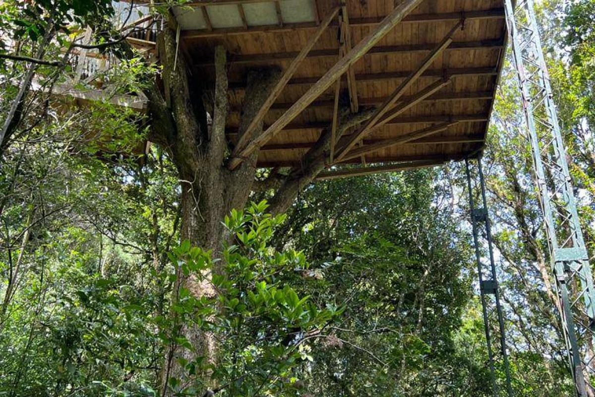 WhatsApp Image 2024-03-02 at 08.12.41 (2)