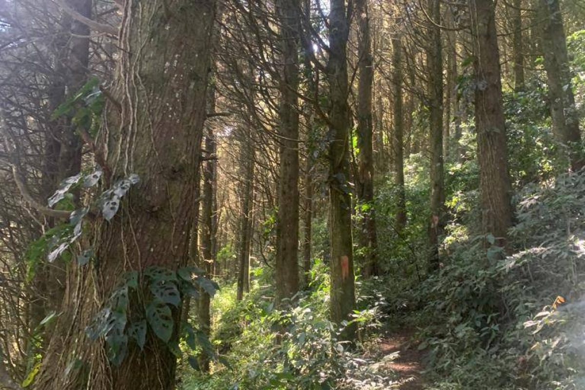 WhatsApp Image 2024-03-02 at 08.12.42 (2)