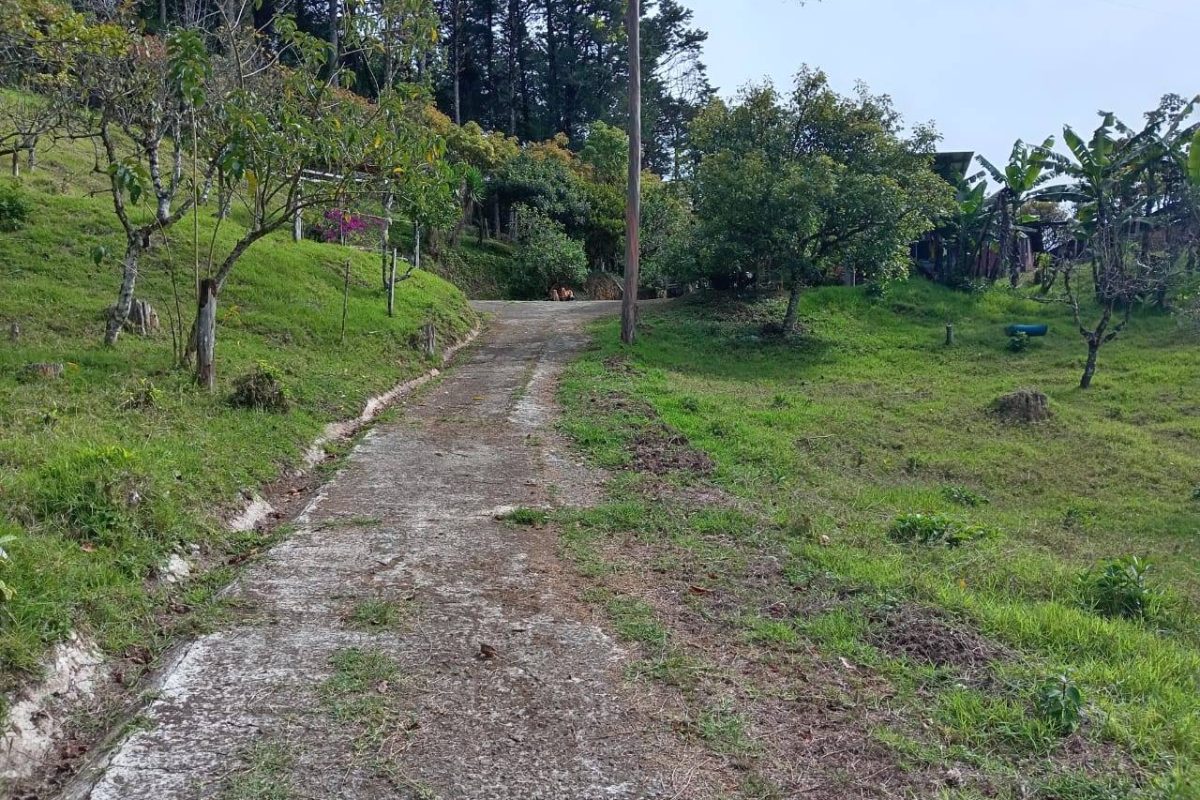 WhatsApp Image 2024-03-20 at 14.15.30