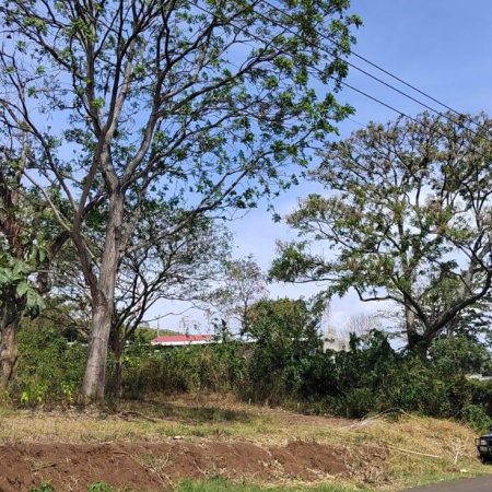 Lote San Pablo Barva Heredia