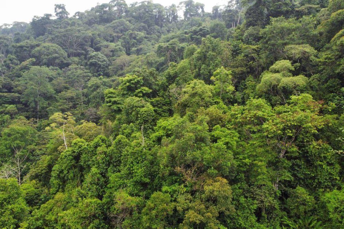 WhatsApp Image 2024-04-19 at 7.12.32 PM (1)