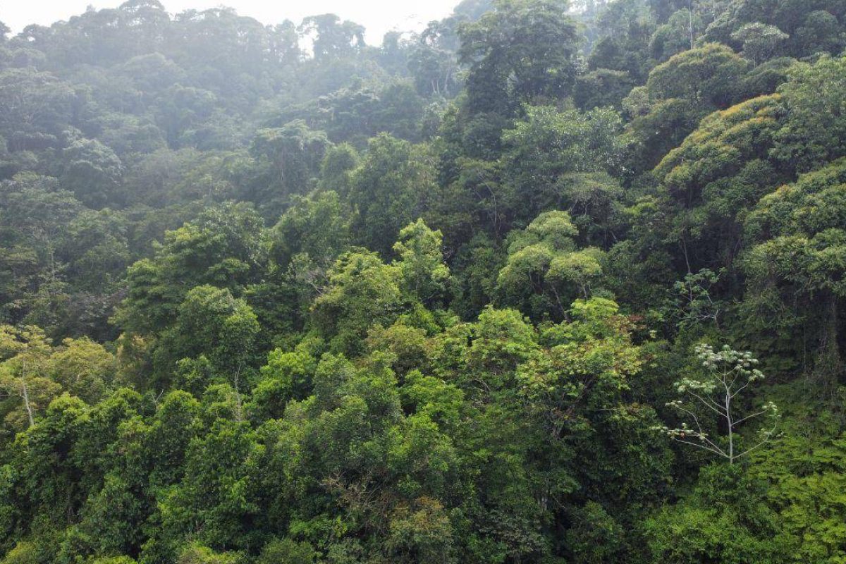 WhatsApp Image 2024-04-19 at 7.12.32 PM (2)