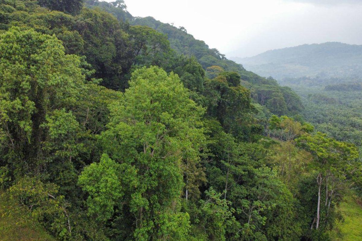 WhatsApp Image 2024-04-19 at 7.12.32 PM (4)