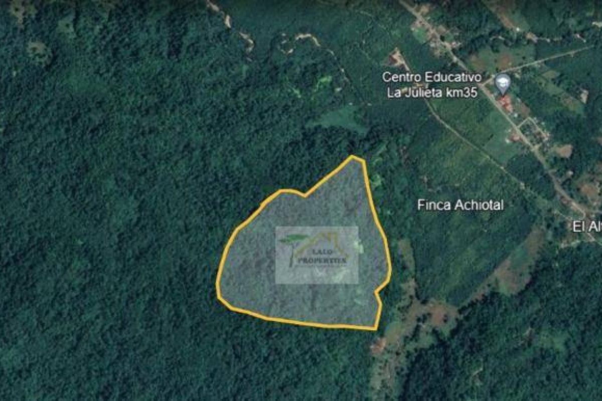 WhatsApp Image 2024-04-19 at 9.20.26 PM