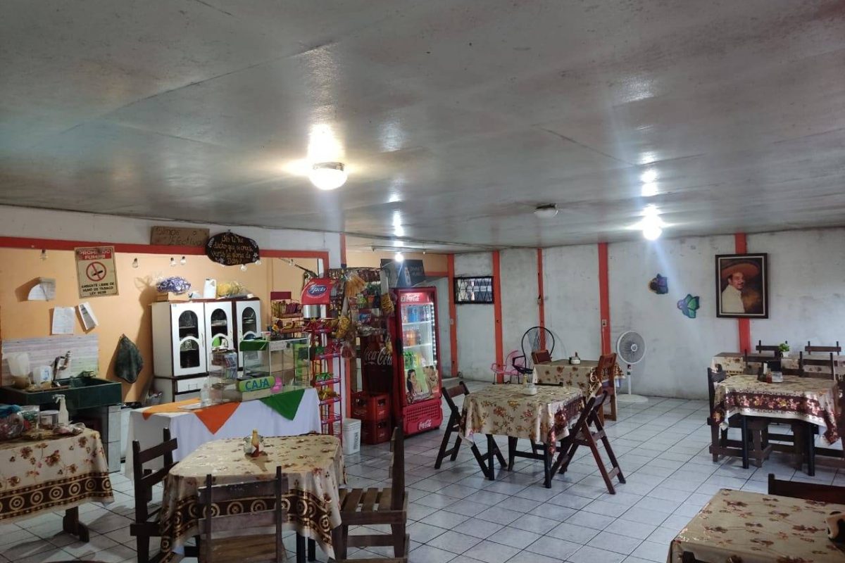 WhatsApp Image 2024-05-14 at 12.37.47 PM (1)_11zon