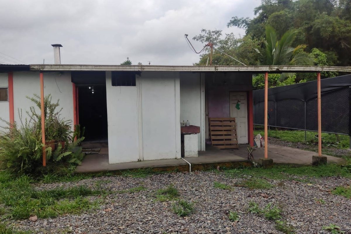 WhatsApp Image 2024-05-14 at 12.38.50 PM (2)_11zon