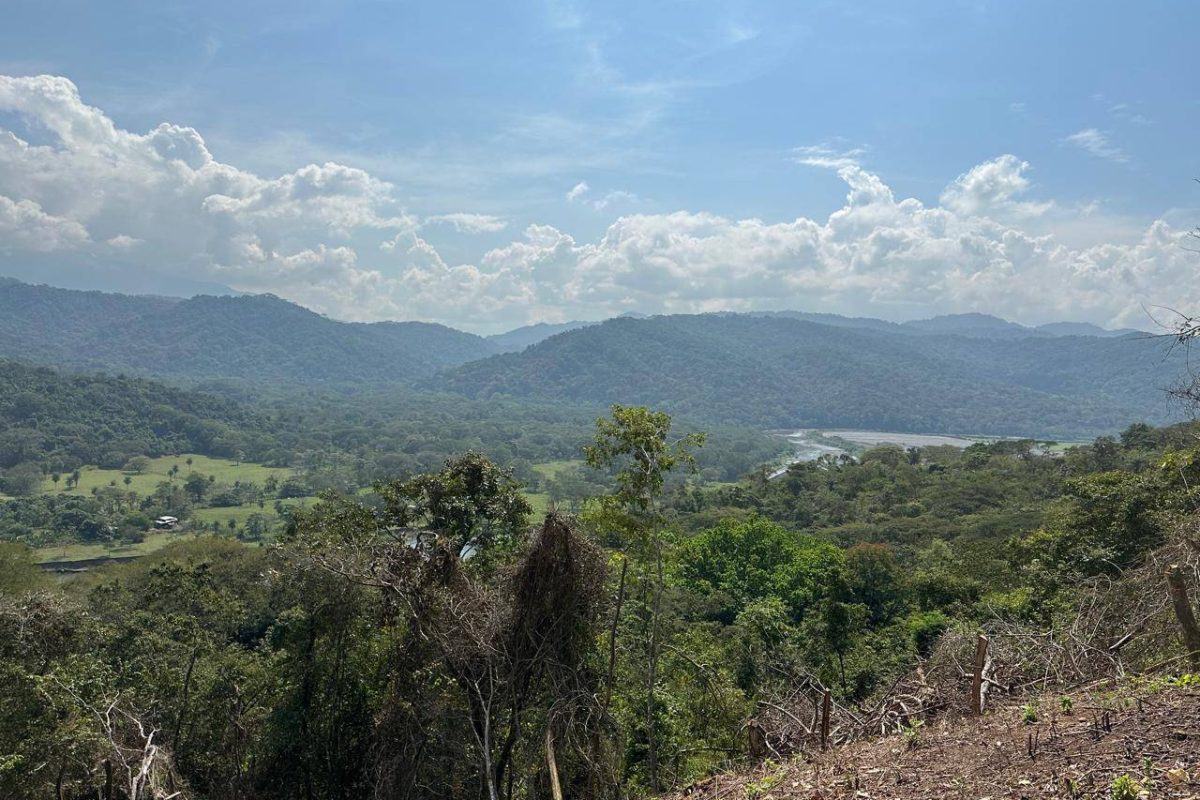 WhatsApp Image 2025-01-20 at 10.15.57