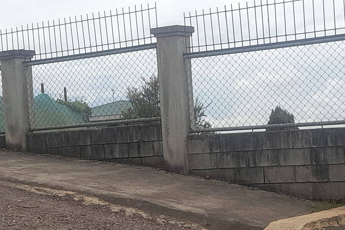 WhatsApp Image 2025-06-21 at 1.23.39 PM (2)