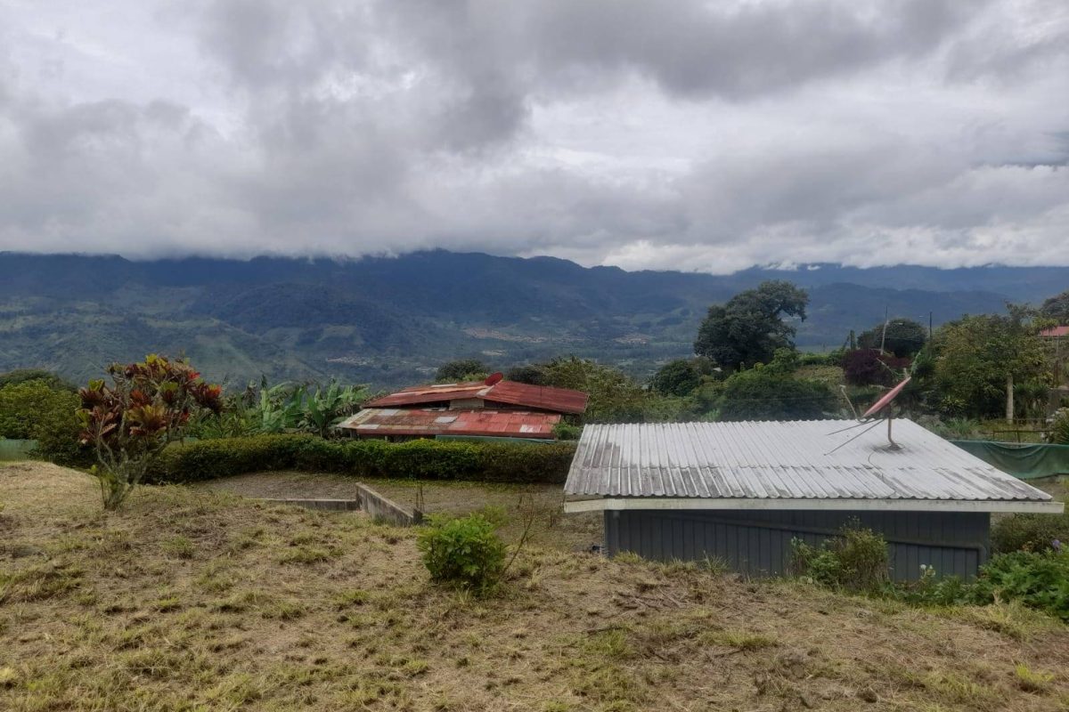 WhatsApp Image 2025-06-21 at 1.23.51 PM (1)