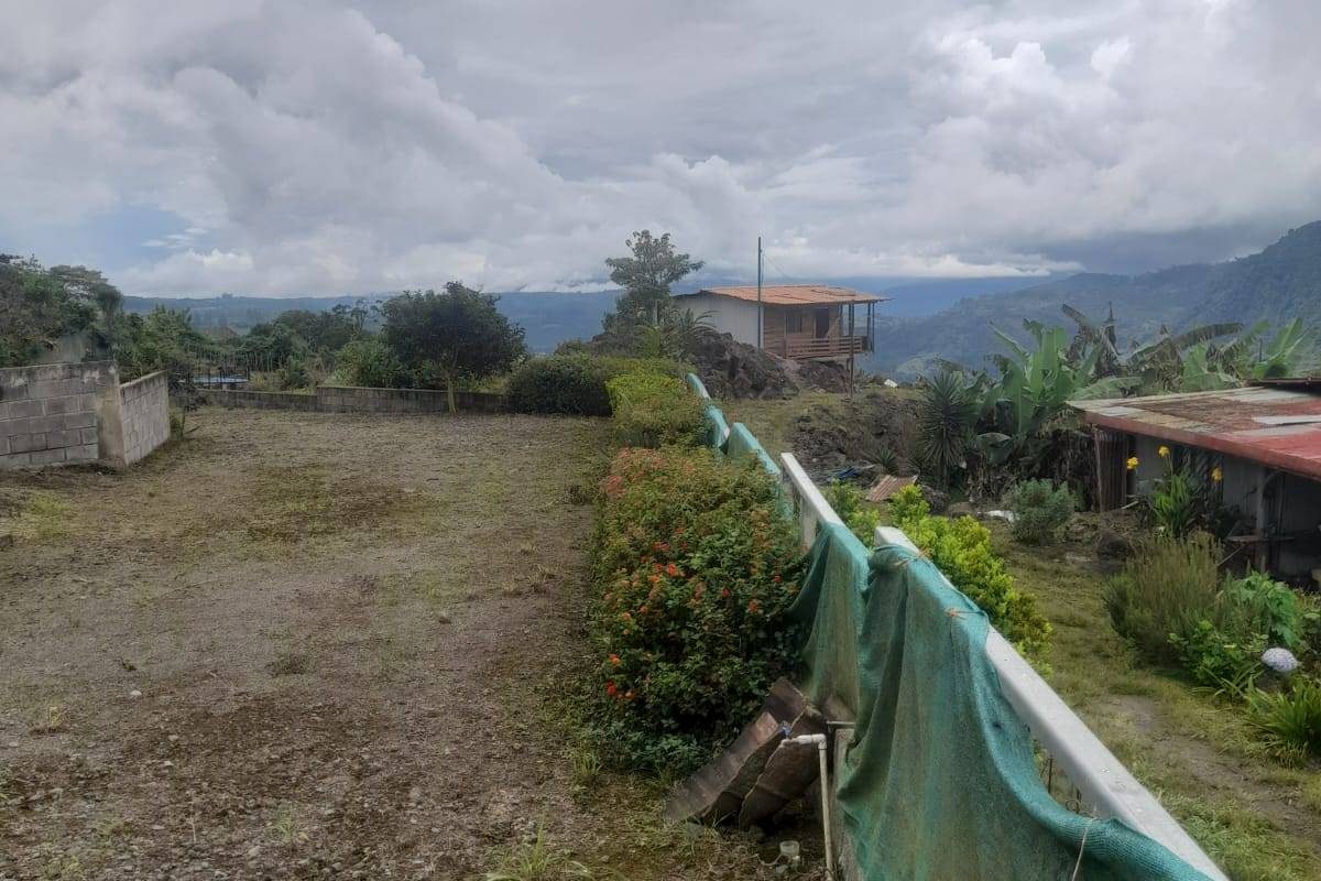 WhatsApp Image 2025-06-21 at 1.23.51 PM (3)