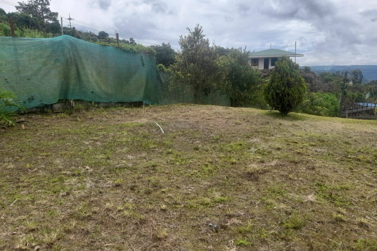 WhatsApp Image 2025-06-21 at 1.23.52 PM (1)