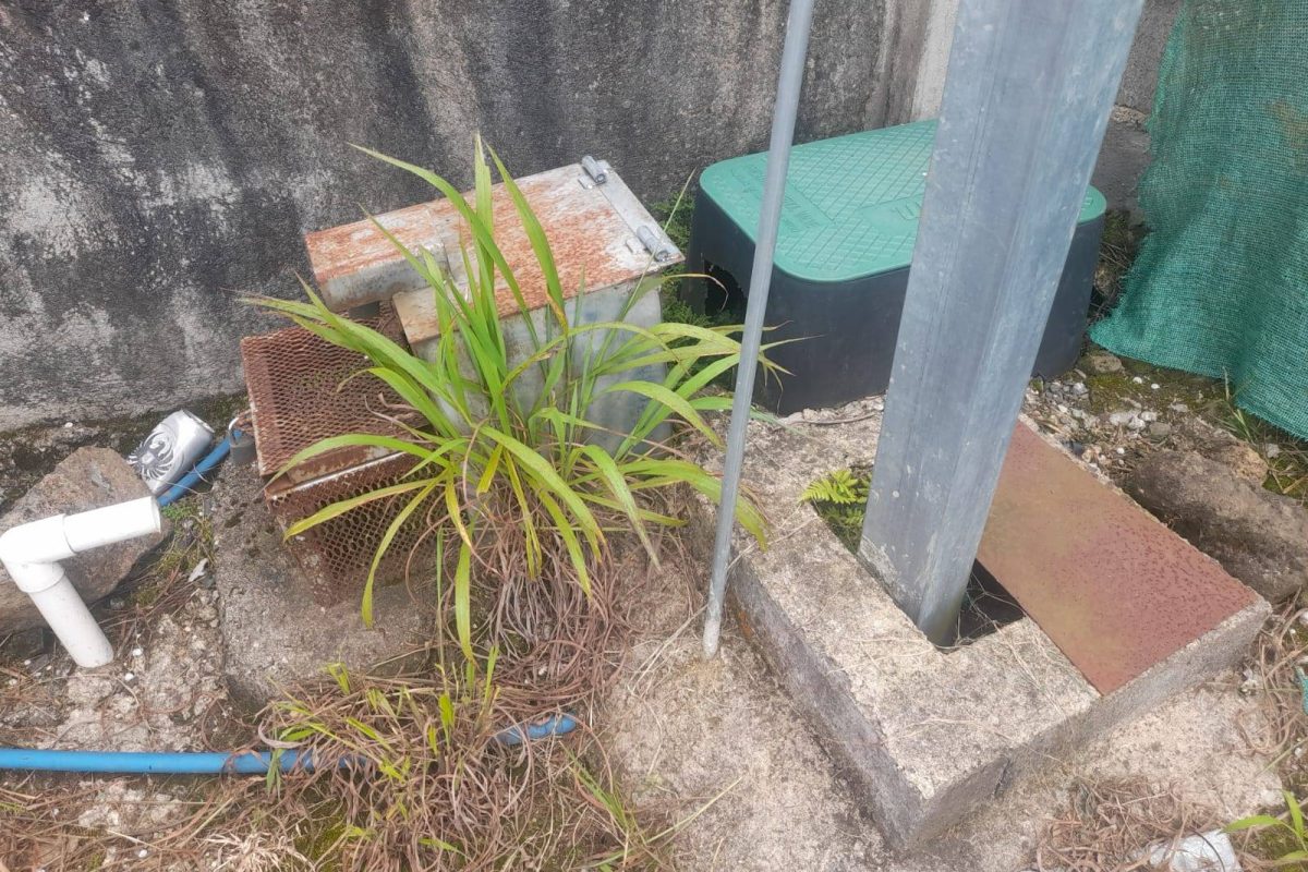 WhatsApp Image 2025-06-21 at 1.23.52 PM (2)