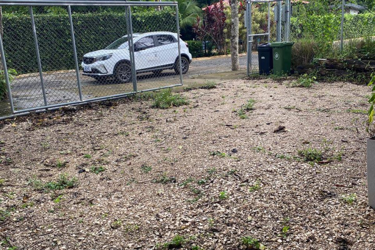 WhatsApp Image 2025-07-30 at 5.03.00 PM (1)